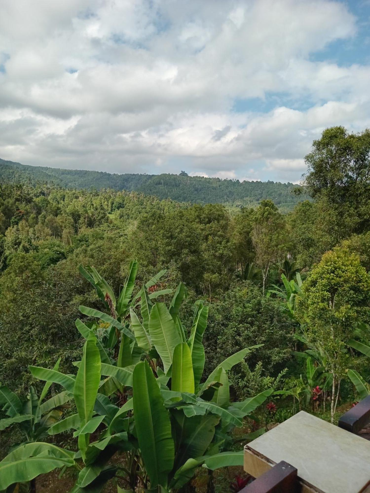 Kanaya Homestay & Warung Heaven Munduk  Exterior photo